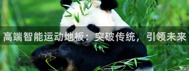 3377体育官方正版app集团:高端智能运动地板:突破传统,