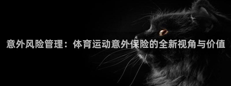 3377体育官方正版app集团:意外风险管理:体育运动意外保