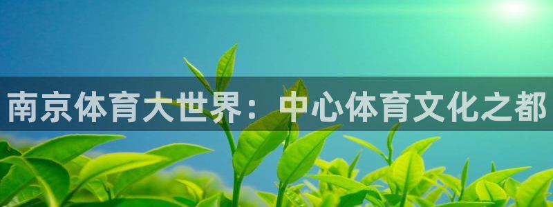 3377体育官网下载招商电话号码是多少啊:南京体育大世界:中