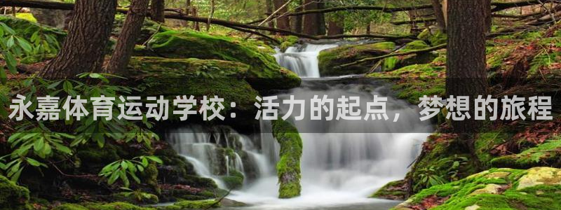 3377体育官网下载是干嘛的公司:永嘉体育运动学校:活力的起